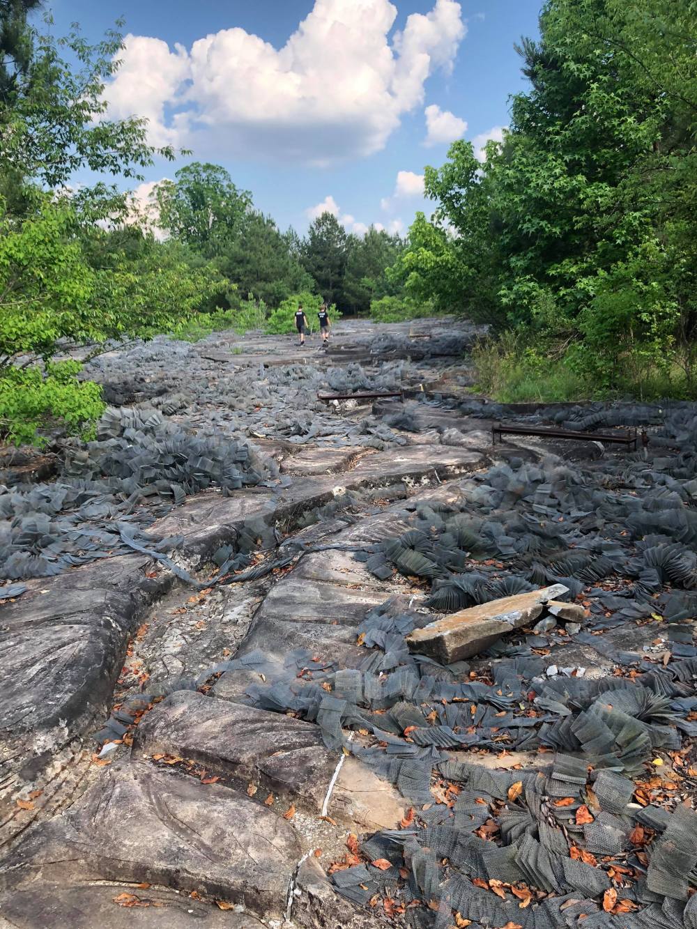 33363970_1656594334455127_1081450371173318656_n