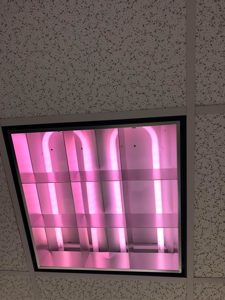 theAmazingPurpleLight